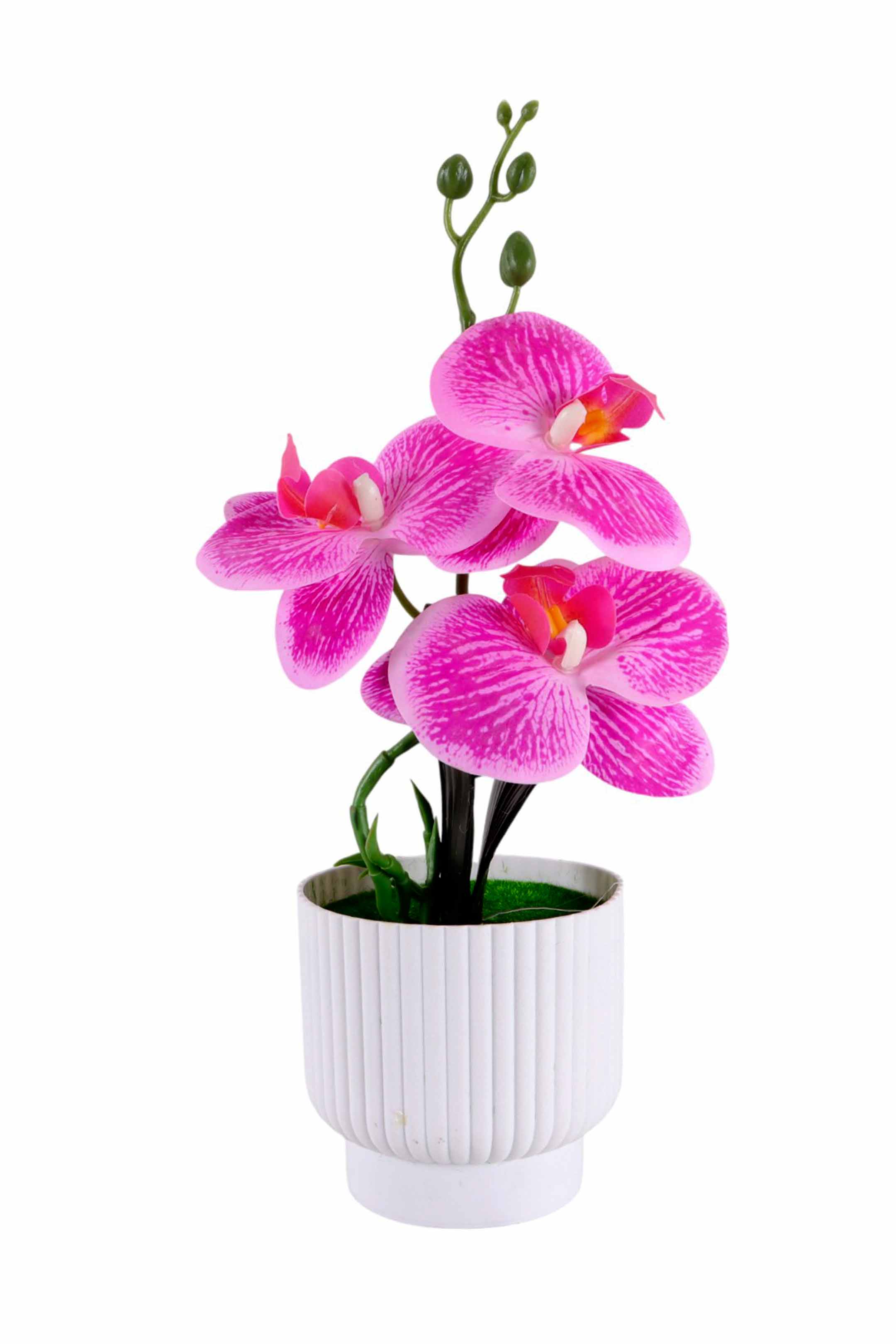 Maceta con flores