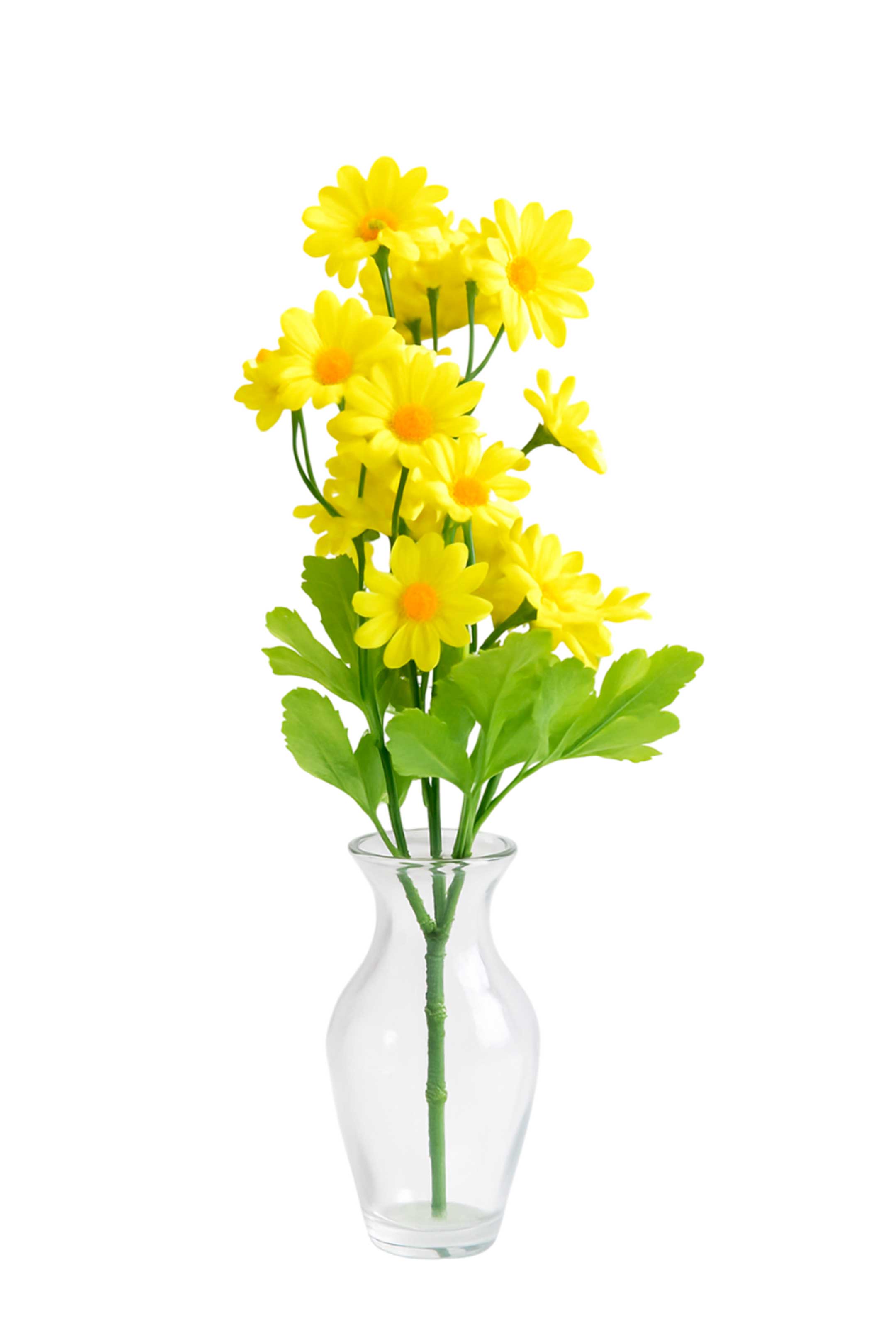 Flores tallo largo
