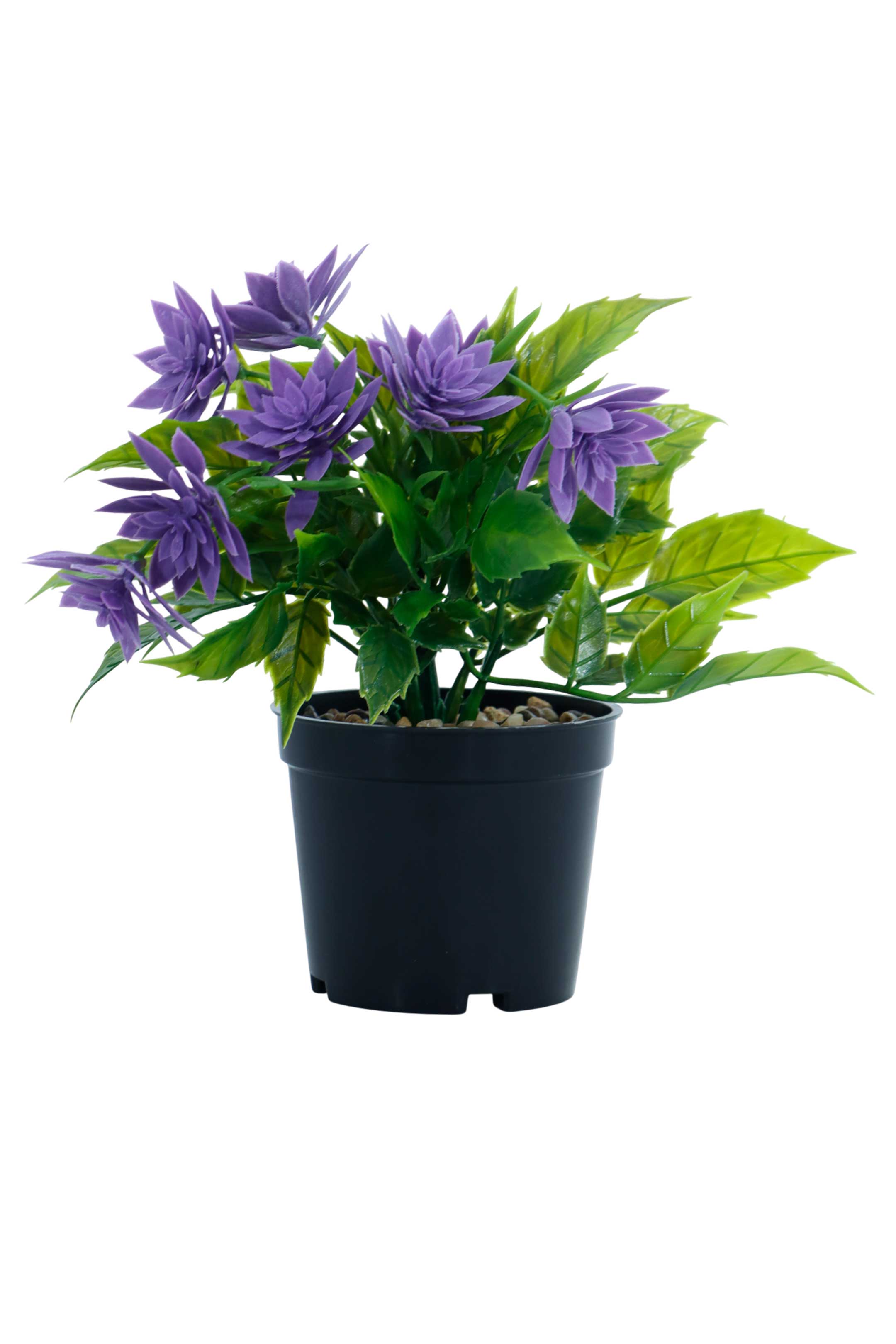 Maceta plástica con flores