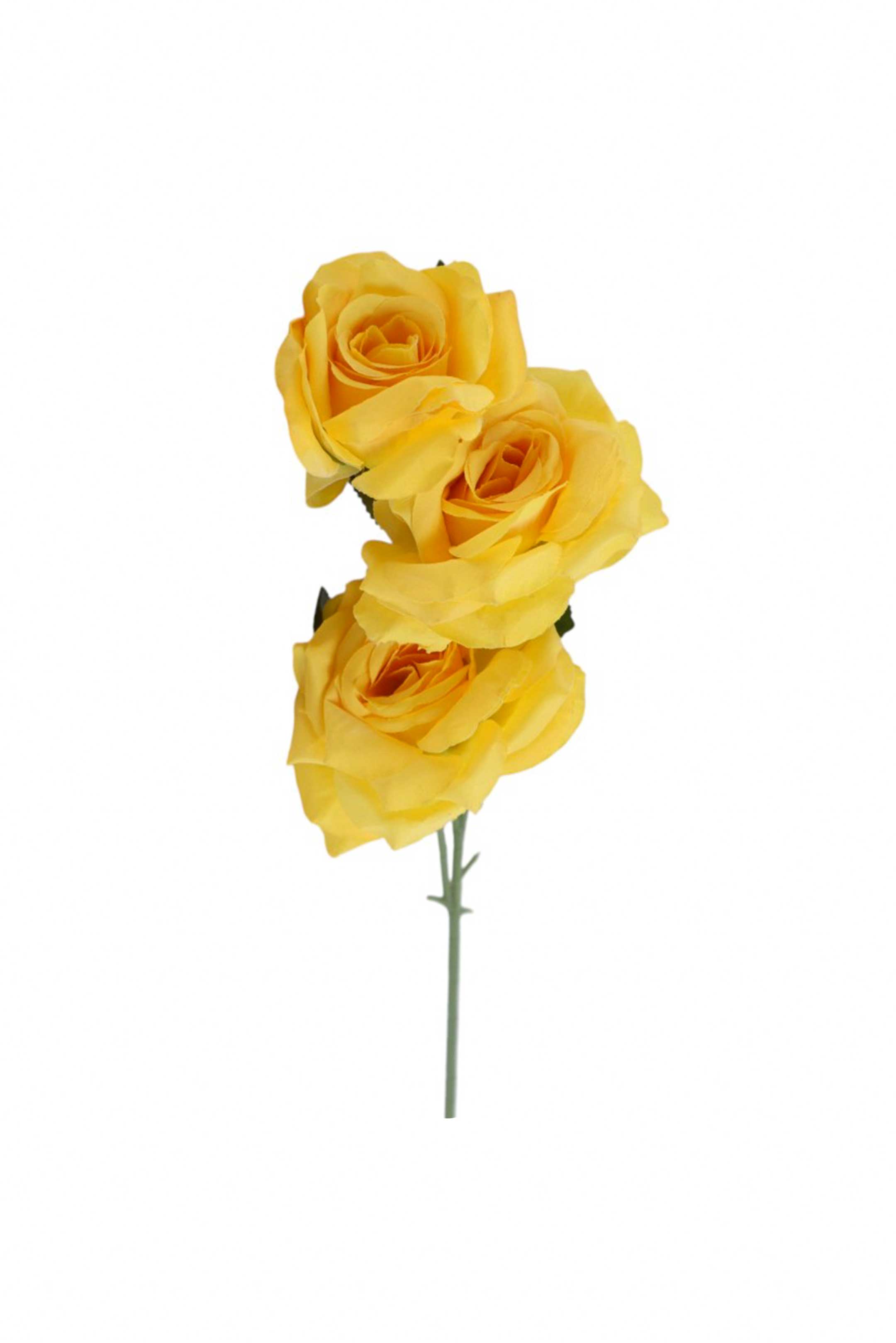 Flores tallo largo