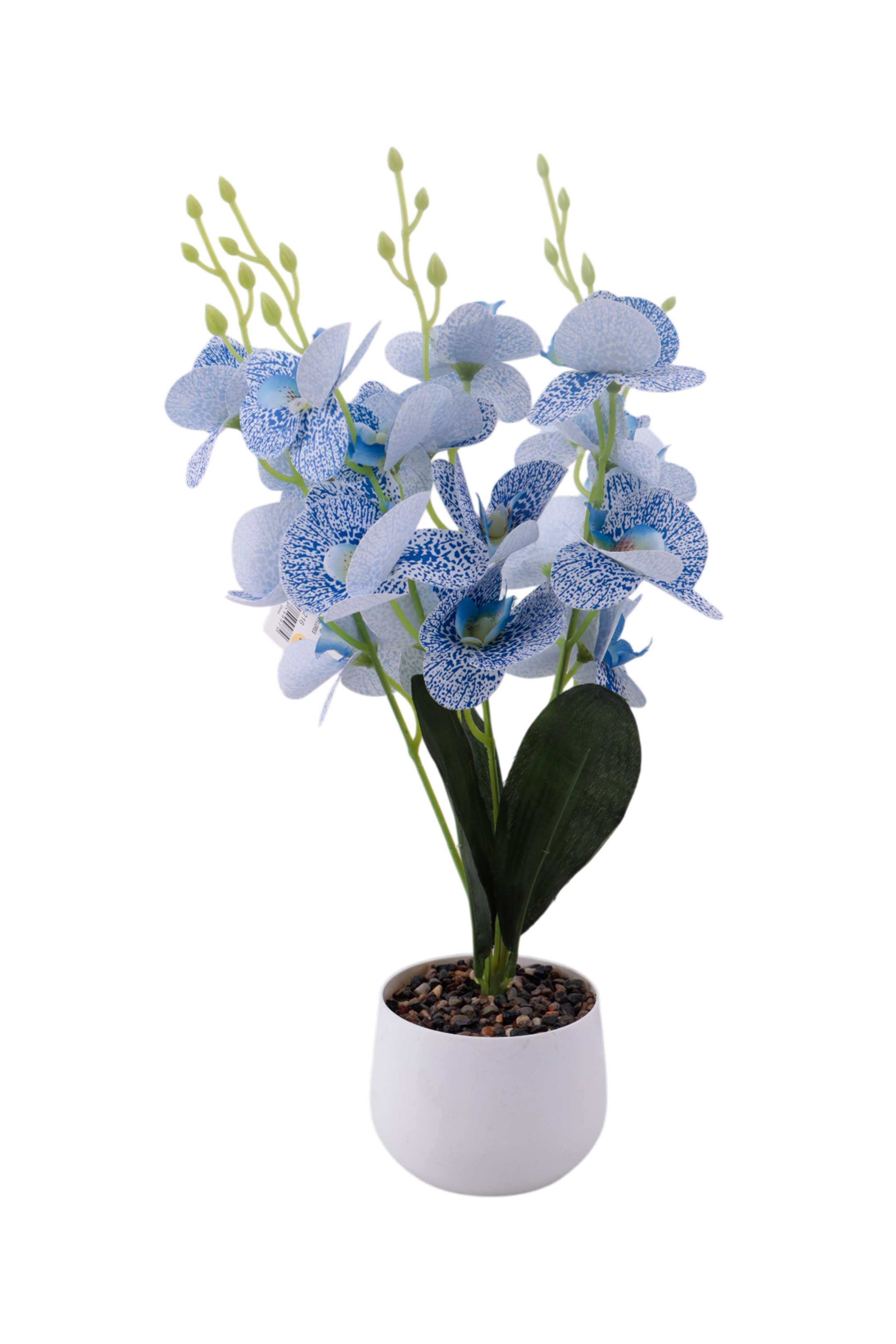 Maceta con flores