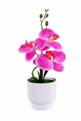 Maceta con flores
