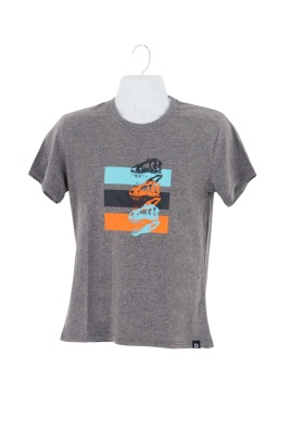 Camiseta Draco