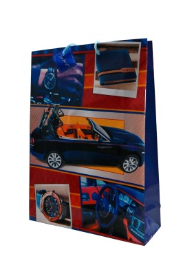 Bolsa de regalo